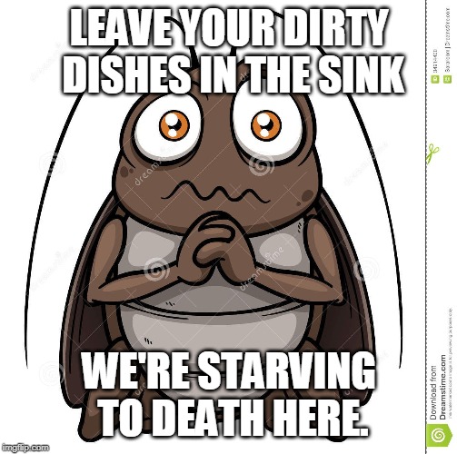 LEAVE YOUR DIRTY DISHES IN THE SINK; WE'RE STARVING TO DEATH HERE. | image tagged in cockroach | made w/ Imgflip meme maker