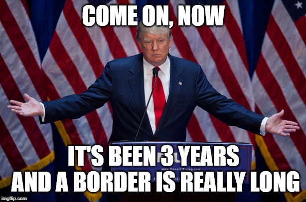 Donald Trump | COME ON, NOW IT'S BEEN 3 YEARS AND A BORDER IS REALLY LONG | image tagged in donald trump | made w/ Imgflip meme maker