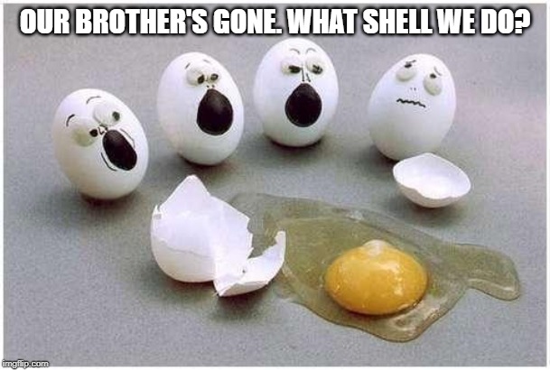 This Broken Egg | OUR BROTHER'S GONE. WHAT SHELL WE DO? | image tagged in this broken egg | made w/ Imgflip meme maker