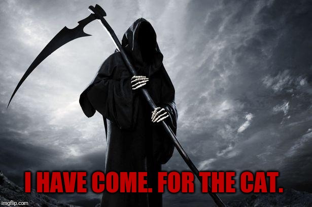 halloween grim reaper meme