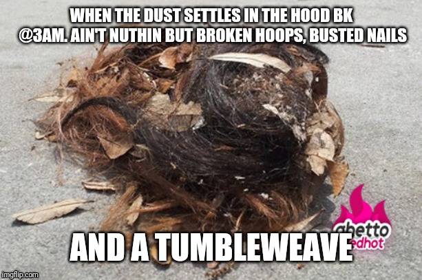 Tumbleweave | WHEN THE DUST SETTLES IN THE HOOD BK @3AM. AIN'T NUTHIN BUT BROKEN HOOPS, BUSTED NAILS; AND A TUMBLEWEAVE | image tagged in funny | made w/ Imgflip meme maker