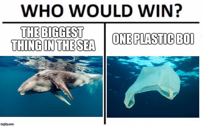 Who Would Win? Meme |  THE BIGGEST THING IN THE SEA; ONE PLASTIC BOI | image tagged in memes,who would win | made w/ Imgflip meme maker