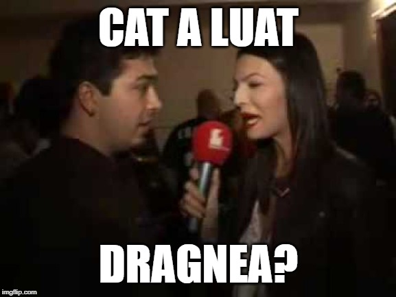 adi despot | CAT A LUAT; DRAGNEA? | image tagged in adi despot | made w/ Imgflip meme maker