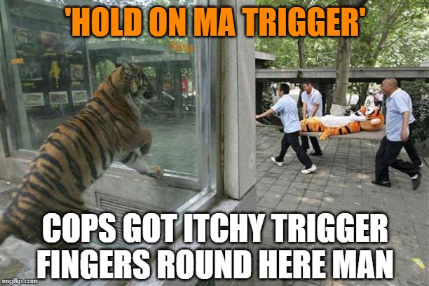 'HOLD ON MA TRIGGER' COPS GOT ITCHY TRIGGER FINGERS ROUND HERE MAN | made w/ Imgflip meme maker