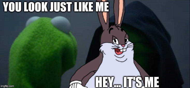 YOU LOOK JUST LIKE ME; HEY... IT'S ME | image tagged in kermit the frog,evil kermit,big chungus | made w/ Imgflip meme maker