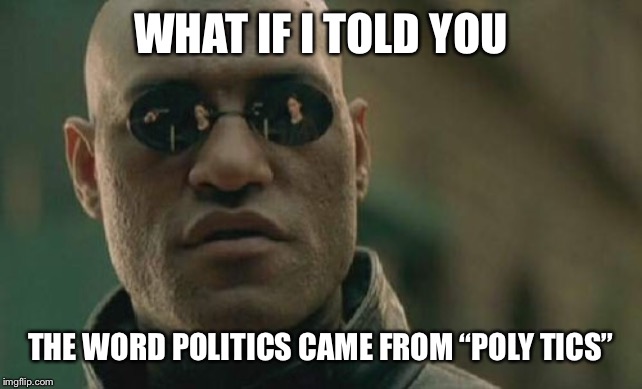 WHAT IF I TOLD YOU THE WORD POLITICS CAME FROM “POLY TICS” | image tagged in memes,matrix morpheus | made w/ Imgflip meme maker