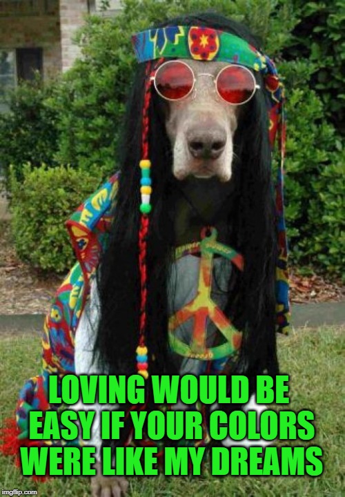 Hippie dog  | LOVING WOULD BE EASY IF YOUR COLORS WERE LIKE MY DREAMS | image tagged in hippie dog | made w/ Imgflip meme maker