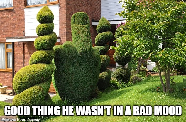 Bush | GOOD THING HE WASN'T IN A BAD MOOD | image tagged in bush | made w/ Imgflip meme maker