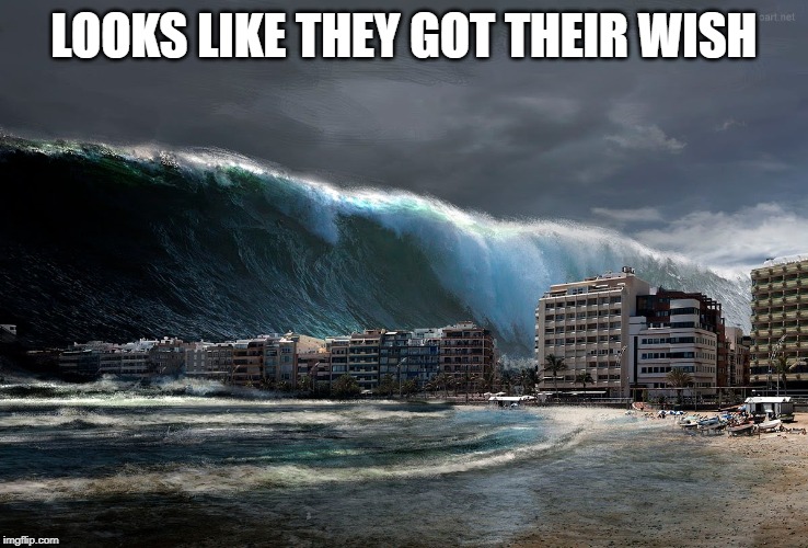 Tsunami Wave | LOOKS LIKE THEY GOT THEIR WISH | image tagged in tsunami wave | made w/ Imgflip meme maker