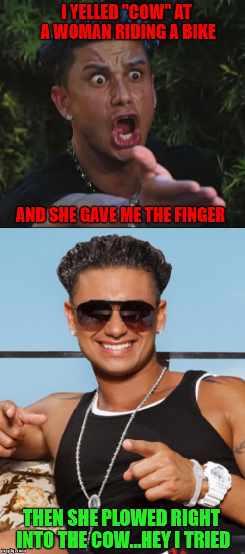 Just trying to help. |  I YELLED "COW" AT A WOMAN RIDING A BIKE; AND SHE GAVE ME THE FINGER; THEN SHE PLOWED RIGHT INTO THE COW...HEY I TRIED | image tagged in memes,dj pauly d,cow,funny,flipping the bird,just trying to help | made w/ Imgflip meme maker