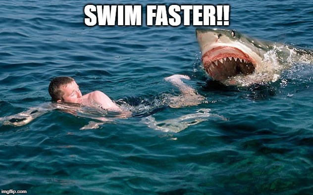shark attacking | SWIM FASTER!! | image tagged in shark attacking | made w/ Imgflip meme maker