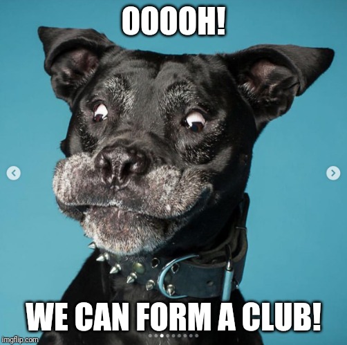 Indubitably Dog | OOOOH! WE CAN FORM A CLUB! | image tagged in indubitably dog | made w/ Imgflip meme maker