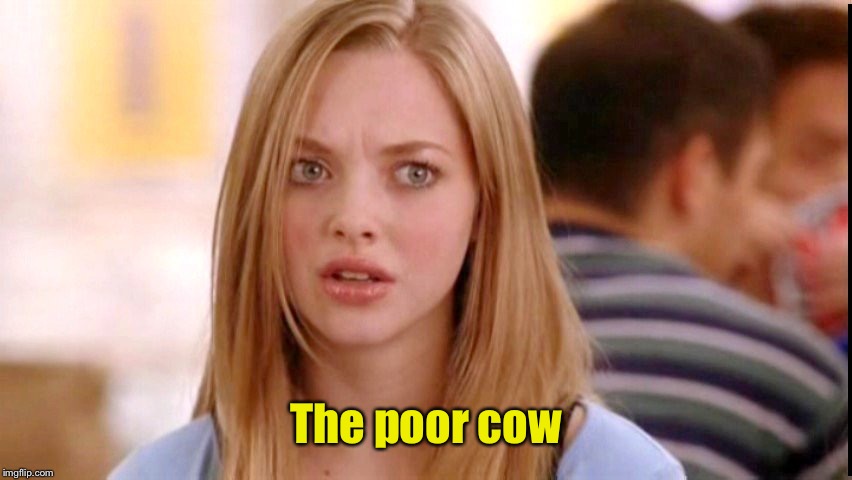 Dumb Blonde | The poor cow | image tagged in dumb blonde | made w/ Imgflip meme maker