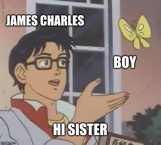 Is This A Pigeon Meme | JAMES CHARLES; BOY; HI SISTER | image tagged in memes,is this a pigeon | made w/ Imgflip meme maker
