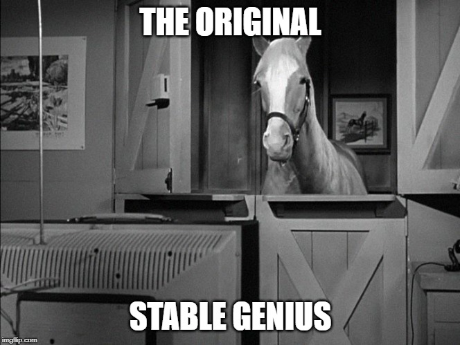 Often imitated but never truly duplicated | THE ORIGINAL; STABLE GENIUS | image tagged in donald trump,stable genius,trump stable genius | made w/ Imgflip meme maker