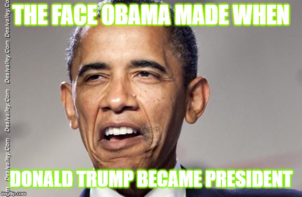 Barak Weird Face | THE FACE OBAMA MADE WHEN; DONALD TRUMP BECAME PRESIDENT | image tagged in barak weird face | made w/ Imgflip meme maker