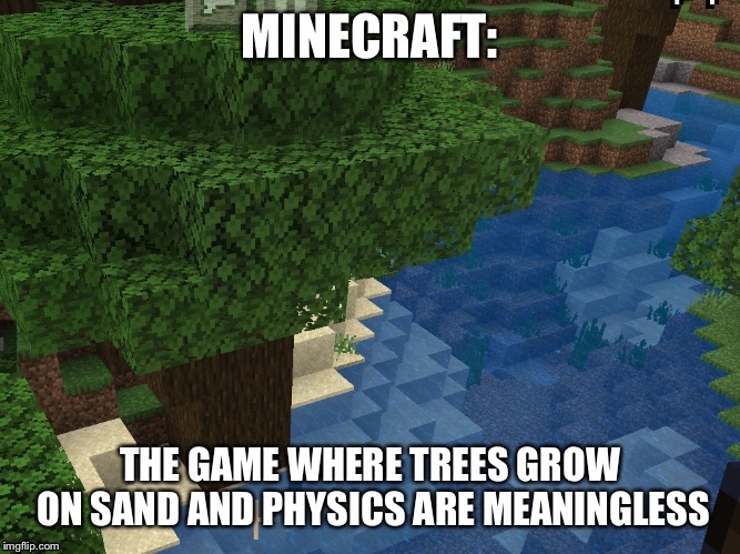 Them Minecraft physics bro | image tagged in minecraft,lol so funny | made w/ Imgflip meme maker