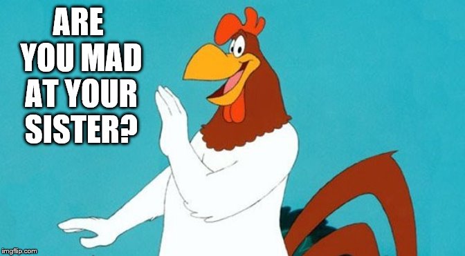 ARE YOU MAD AT YOUR SISTER? | image tagged in foghorn leghorn | made w/ Imgflip meme maker