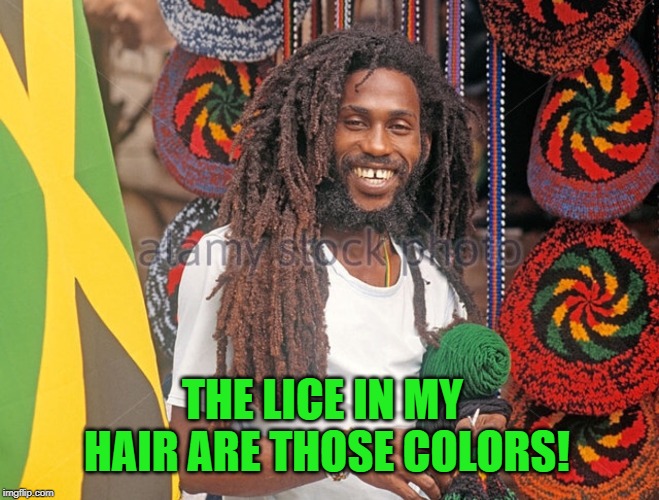 Rasta Man  | THE LICE IN MY HAIR ARE THOSE COLORS! | image tagged in rasta man | made w/ Imgflip meme maker