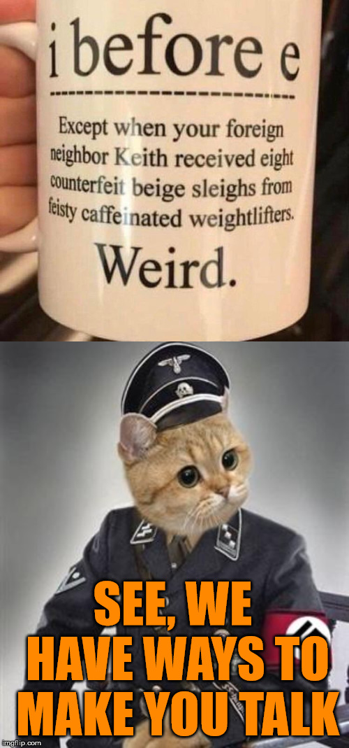 Grammar can drive some of you nuts. |  SEE, WE HAVE WAYS TO MAKE YOU TALK | image tagged in grammar nazi cat | made w/ Imgflip meme maker
