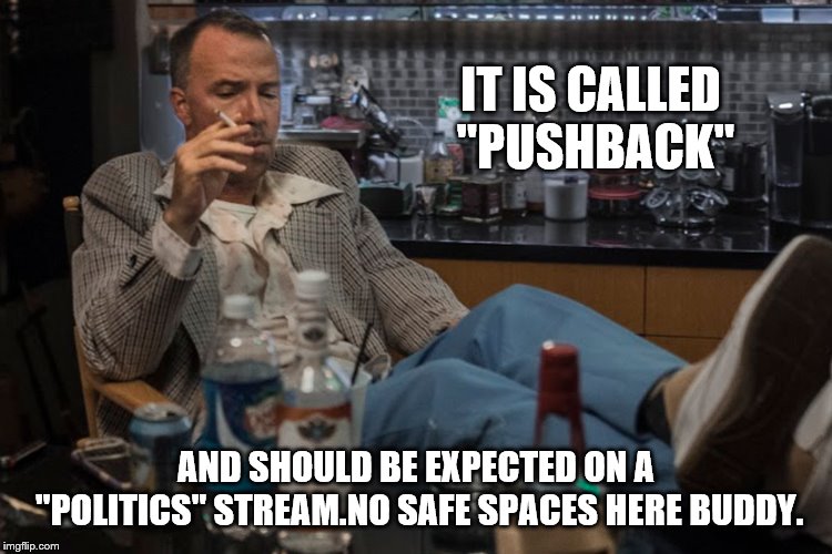IT IS CALLED "PUSHBACK" AND SHOULD BE EXPECTED ON A "POLITICS" STREAM.NO SAFE SPACES HERE BUDDY. | made w/ Imgflip meme maker