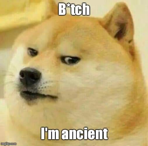 High Quality Ancient doge Blank Meme Template