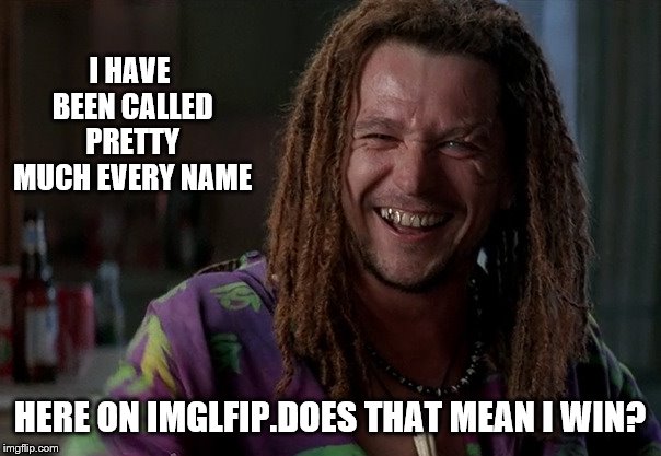 I HAVE BEEN CALLED PRETTY MUCH EVERY NAME HERE ON IMGLFIP.DOES THAT MEAN I WIN? | made w/ Imgflip meme maker