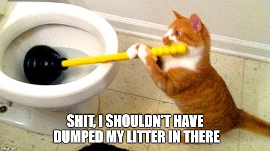 Clogged 'er up | SHIT, I SHOULDN'T HAVE DUMPED MY LITTER IN THERE | image tagged in funny cats | made w/ Imgflip meme maker