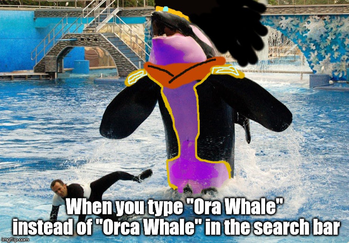 ora whale | When you type "Ora Whale" instead of "Orca Whale" in the search bar | image tagged in funny memes | made w/ Imgflip meme maker