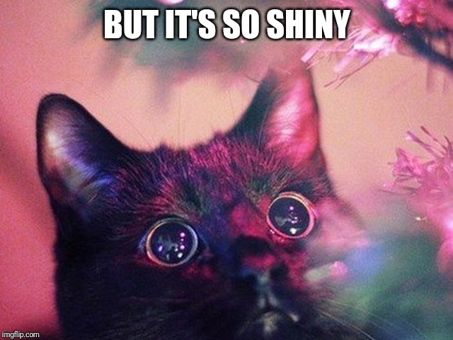 Its so shiny | BUT IT'S SO SHINY | image tagged in its so shiny | made w/ Imgflip meme maker