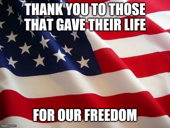 American flag | THANK YOU TO THOSE THAT GAVE THEIR LIFE; FOR OUR FREEDOM | image tagged in american flag | made w/ Imgflip meme maker