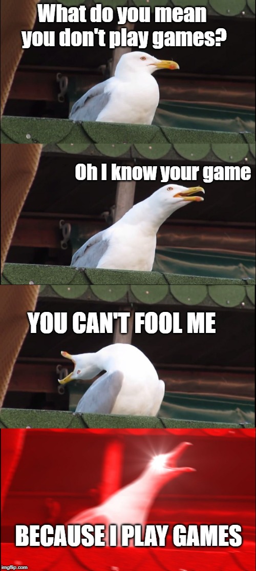 Games People Playyy | What do you mean you don't play games? Oh I know your game; YOU CAN'T FOOL ME; BECAUSE I PLAY GAMES | image tagged in memes,inhaling seagull | made w/ Imgflip meme maker