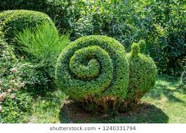 Snail Blank Meme Template