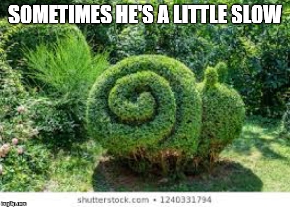 Snail | SOMETIMES HE'S A LITTLE SLOW | image tagged in snail | made w/ Imgflip meme maker