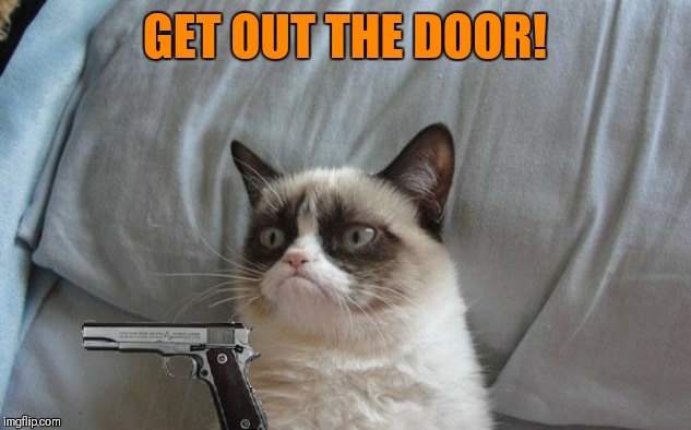 Grumpy cat gun | GET OUT THE DOOR! | image tagged in grumpy cat gun | made w/ Imgflip meme maker