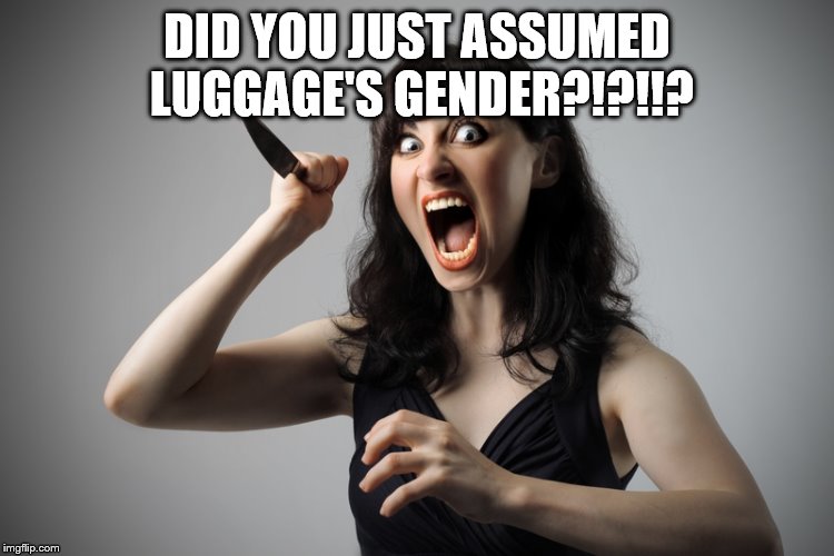 Angry woman | DID YOU JUST ASSUMED LUGGAGE'S GENDER?!?!!? | image tagged in angry woman | made w/ Imgflip meme maker