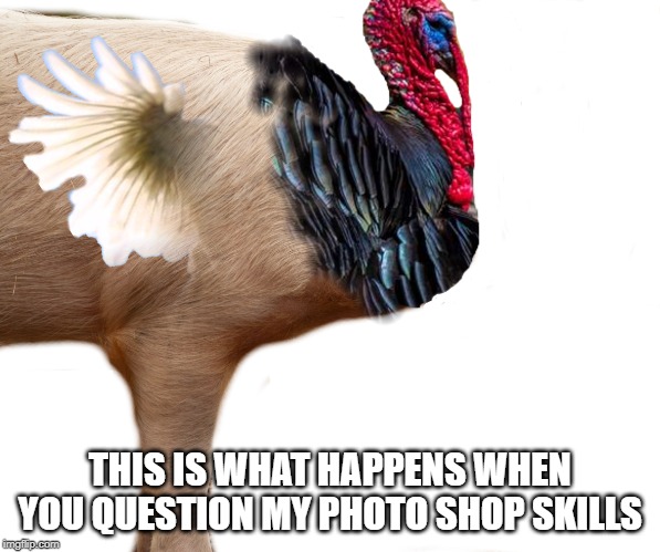 my dad has challenged me... | THIS IS WHAT HAPPENS WHEN YOU QUESTION MY PHOTO SHOP SKILLS | image tagged in turkey,turkey bacon,pig,chicken | made w/ Imgflip meme maker