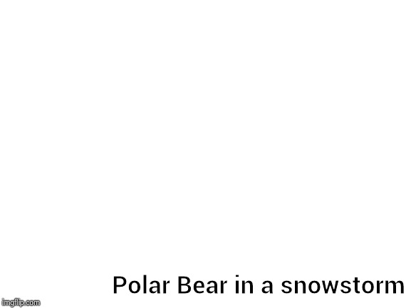 Blank White Template | Polar Bear in a snowstorm | image tagged in blank white template | made w/ Imgflip meme maker