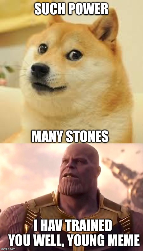 SUCH POWER; MANY STONES; I HAV TRAINED YOU WELL, YOUNG MEME | image tagged in square doge,thanos snap | made w/ Imgflip meme maker