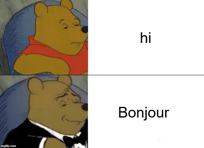 Tuxedo Winnie The Pooh | hi; Bonjour | image tagged in memes,tuxedo winnie the pooh | made w/ Imgflip meme maker