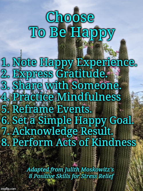 Adaptation of Moskowitz's 8 Stress reduction Skills | Choose To Be Happy; 1. Note Happy Experience.   
2. Express Gratitude.      3. Share with Someone.     4. Practice Mindfulness; 5. Reframe Events.    6. Set a Simple Happy Goal.   7. Acknowledge Result.    8. Perform Acts of Kindness; Adapted from Julith Moskowitz's 8 Positive Skills for Stress Relief | image tagged in positive thinking | made w/ Imgflip meme maker