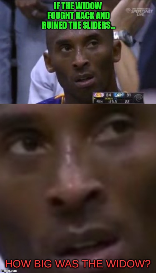 IF THE WIDOW FOUGHT BACK AND RUINED THE SLIDERS... HOW BIG WAS THE WIDOW? | image tagged in memes,questionable strategy kobe | made w/ Imgflip meme maker