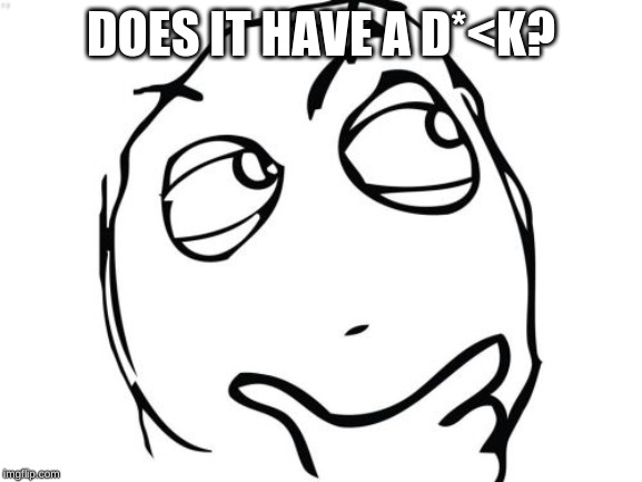 DOES IT HAVE A D*<K? | image tagged in memes,question rage face | made w/ Imgflip meme maker