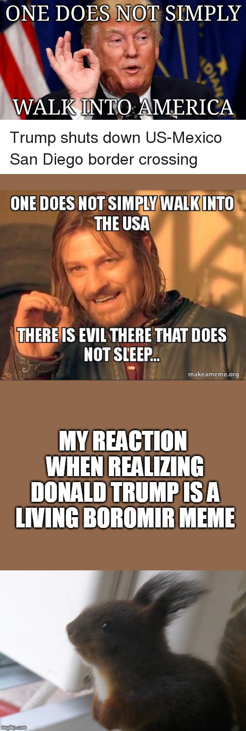 Boromir Trump | MY REACTION WHEN REALIZING DONALD TRUMP IS A LIVING BOROMIR MEME | image tagged in donald trump approves,donald trump wall,frustrated boromir,donald trump memes,squirrel,cute animals | made w/ Imgflip meme maker
