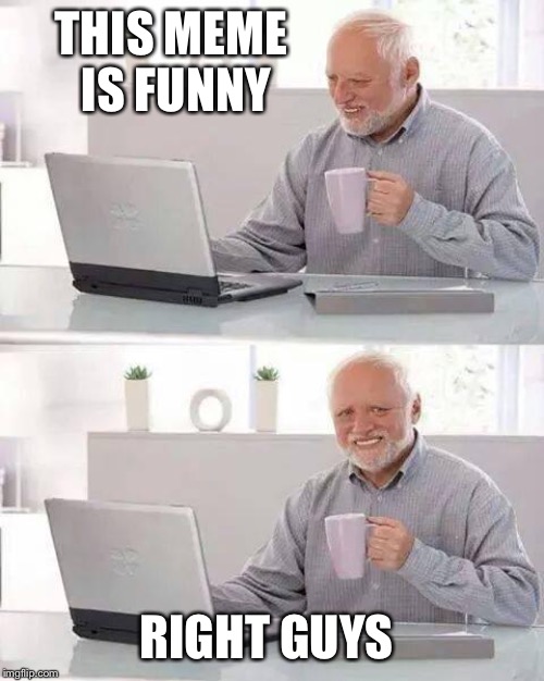 Hide the Pain Harold | THIS MEME IS FUNNY; RIGHT GUYS | image tagged in memes,hide the pain harold | made w/ Imgflip meme maker
