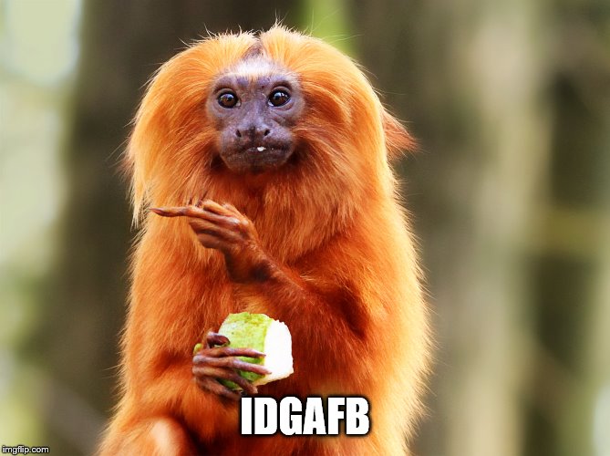 idgaf | IDGAFB | image tagged in idgaf | made w/ Imgflip meme maker