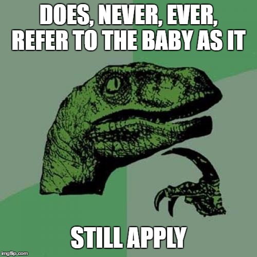 With all the gender stuff going on, just wondering | DOES, NEVER, EVER, REFER TO THE BABY AS IT; STILL APPLY | image tagged in memes,philosoraptor,gender confusion,gender identity,random,baby | made w/ Imgflip meme maker