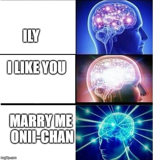Expanding brain 3 panels | ILY            I LIKE YOU; MARRY ME ONII-CHAN | image tagged in expanding brain 3 panels | made w/ Imgflip meme maker