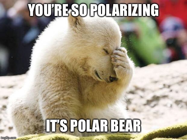 Sad Polar Bear | YOU’RE SO POLARIZING IT’S POLAR BEAR | image tagged in sad polar bear | made w/ Imgflip meme maker