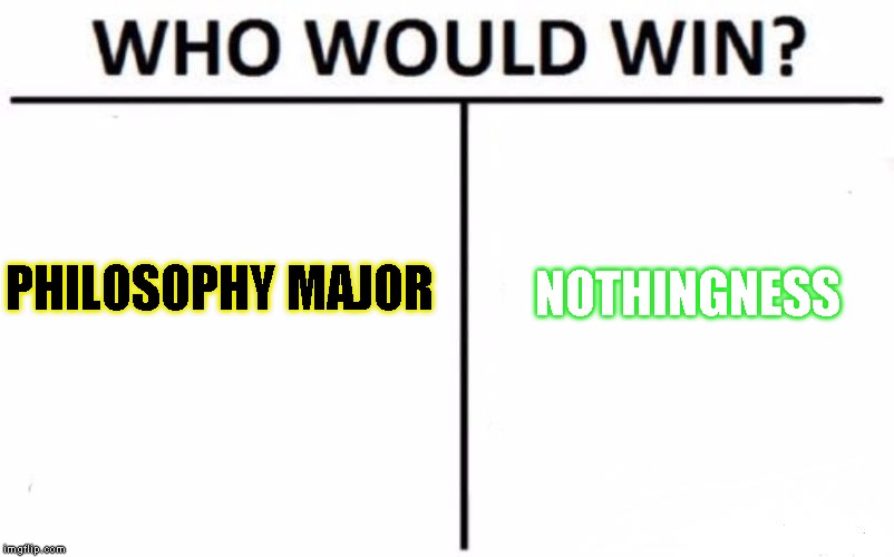 My money is on the cat to show | PHILOSOPHY MAJOR; NOTHINGNESS | image tagged in memes,who would win | made w/ Imgflip meme maker